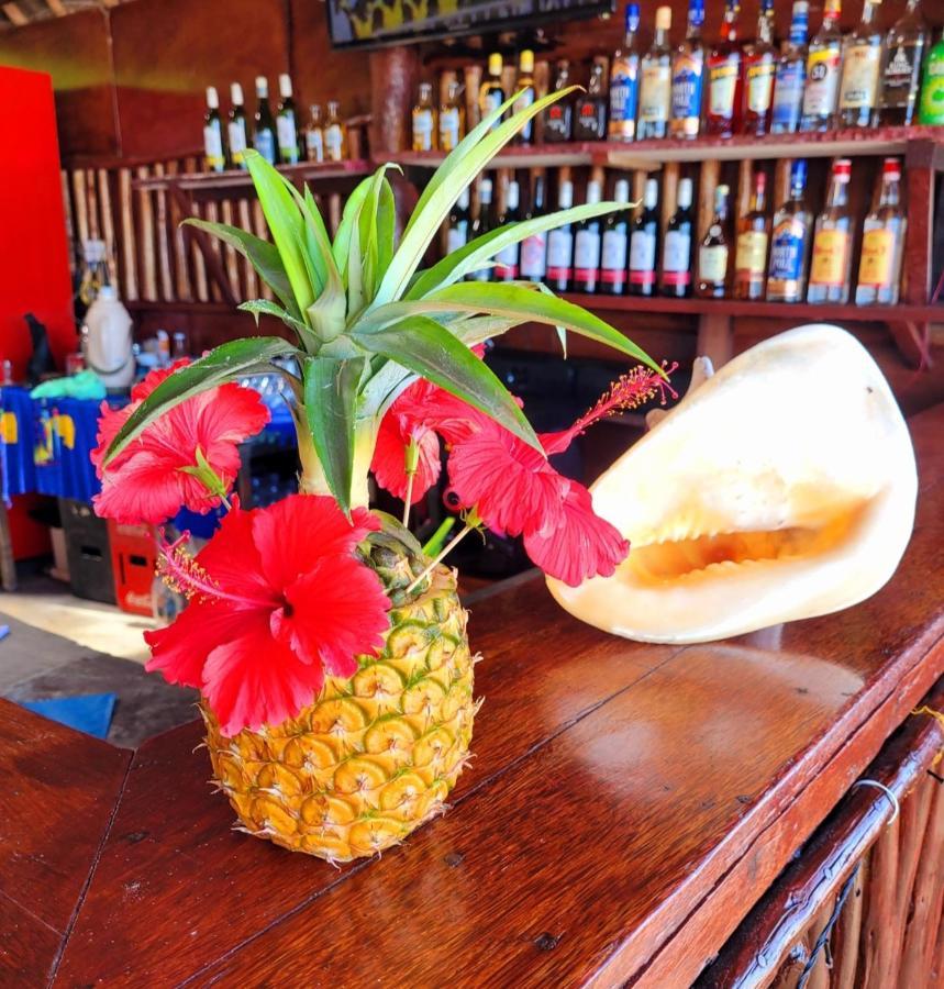 Sipano Beach Lodge Kiwengwa Kiwengwa  Esterno foto