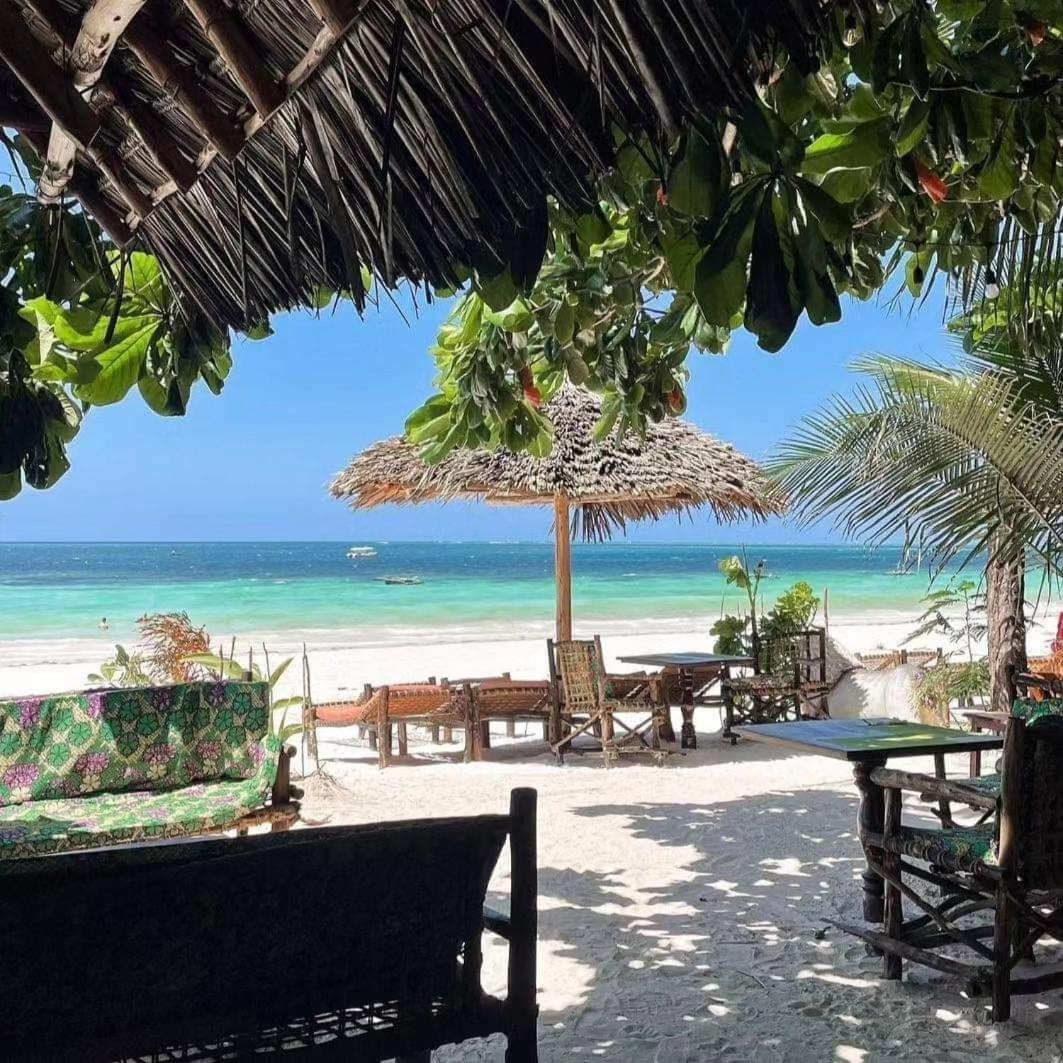 Sipano Beach Lodge Kiwengwa Kiwengwa  Esterno foto