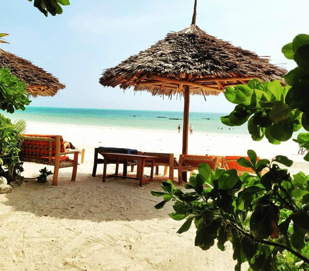 Sipano Beach Lodge Kiwengwa Kiwengwa  Esterno foto