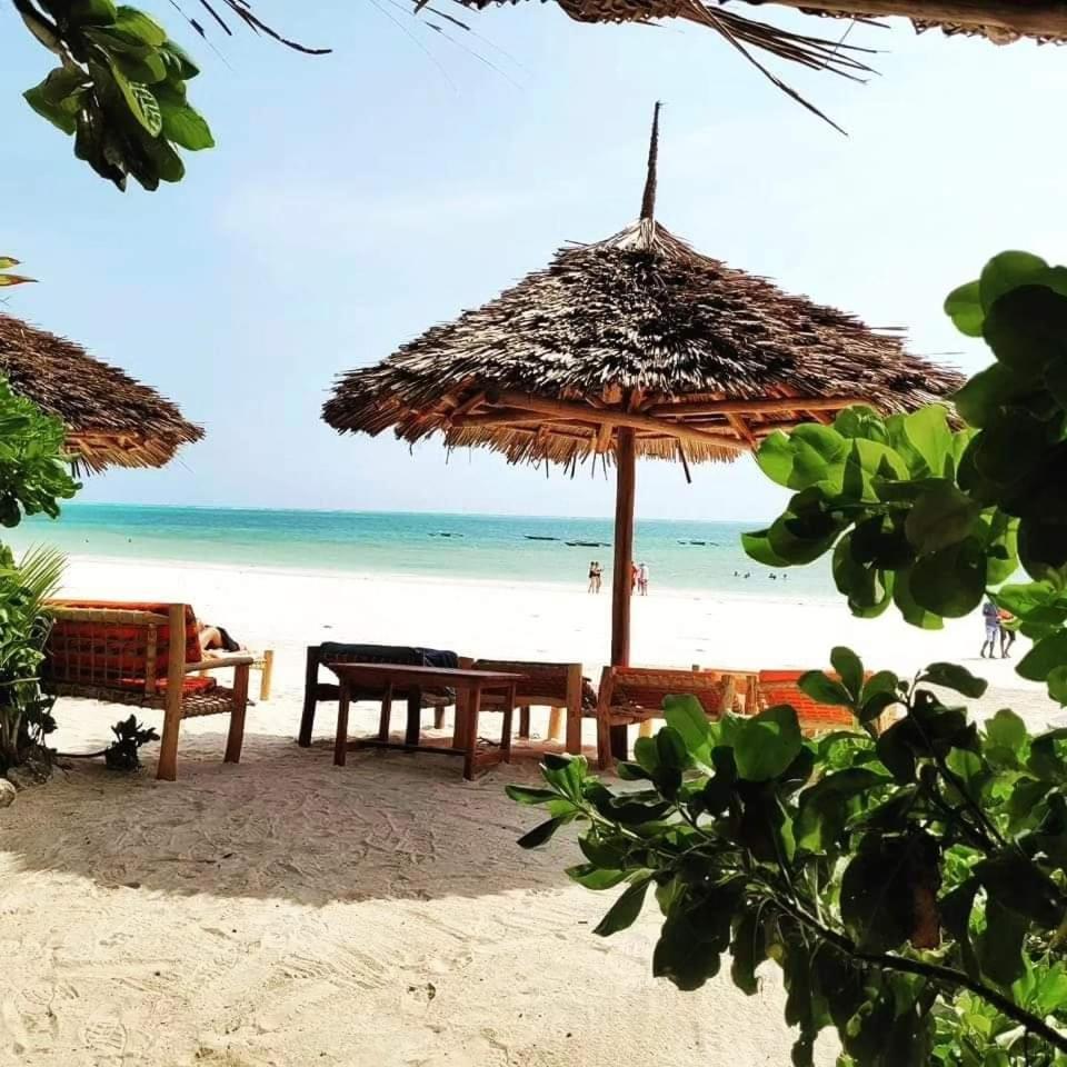 Sipano Beach Lodge Kiwengwa Kiwengwa  Esterno foto