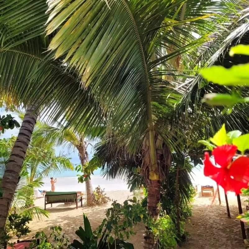 Sipano Beach Lodge Kiwengwa Kiwengwa  Esterno foto