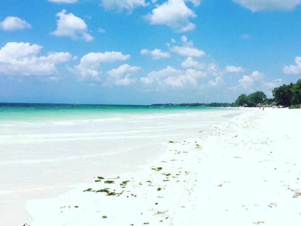 Sipano Beach Lodge Kiwengwa Kiwengwa  Esterno foto